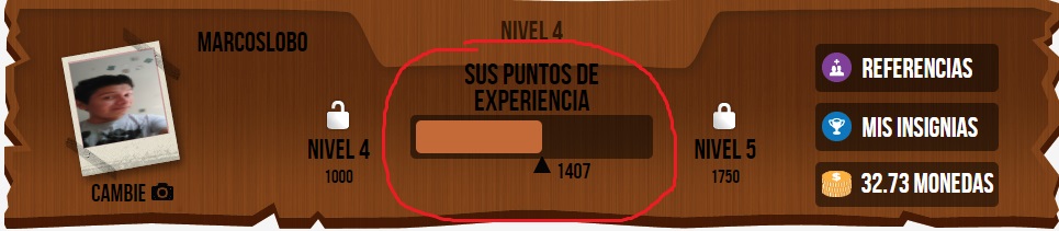 get paid niveles de experiencia y nivel