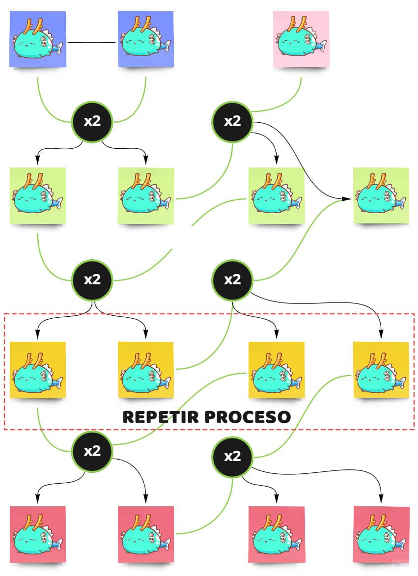 Axie 3 breed criar